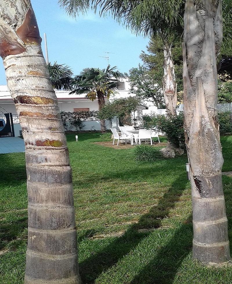 Monolocali Petraroli By Salentolimit Holiday home Porto Cesareo